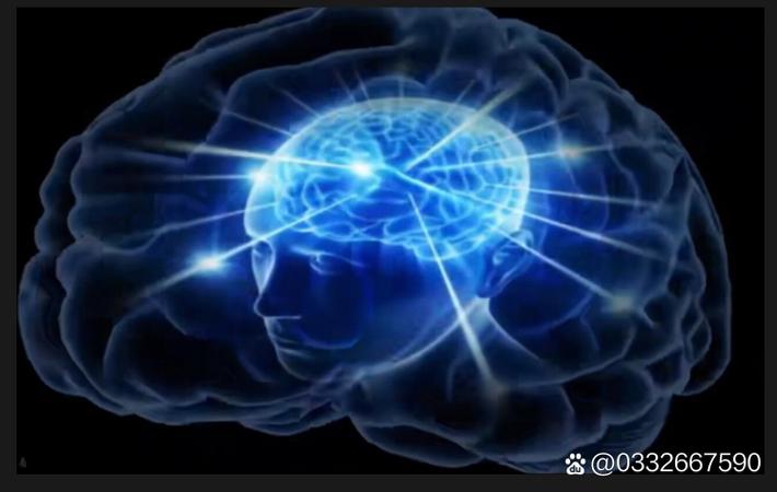 网红培训机构被曝收钱跑路,数百学员维权无门